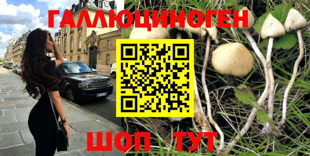 Псилоцибиновые грибы Psilocybe  Вход с VPN  Ликино-Дулёво 
